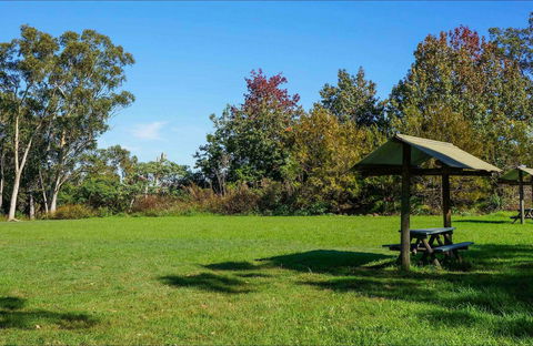 Tunks Hill Picnic Area - Sunshine Coast Guide 0