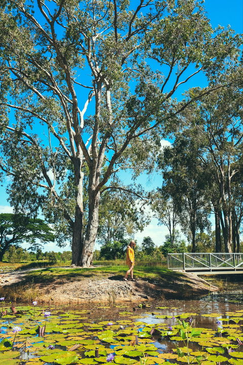 TYTO Wetlands - Sunshine Coast Guide 1