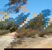 Werakata National Park - Sunshine Coast Guide