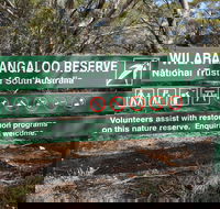 Wilabalangaloo Reserve - Sunshine Coast Guide