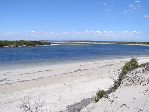 Acraman Creek Conservation Park - Sunshine Coast Guide 0