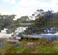 Baldwin Swamp Environmental Park - Sunshine Coast Guide