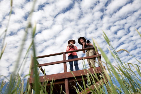 Bool Lagoon Game Reserve And Hacks Lagoon Conservation Park - Sunshine Coast Guide 1