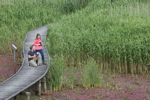 Bool Lagoon Game Reserve And Hacks Lagoon Conservation Park - Sunshine Coast Guide 2