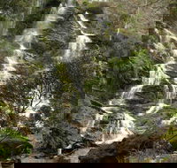 Buddong Falls Walking Track - Sunshine Coast Guide