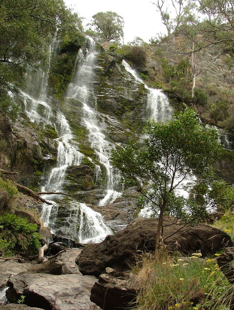 Buddong Falls Walking Track - Sunshine Coast Guide 0