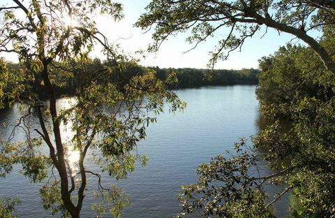 Cattai National Park - Sunshine Coast Guide 0