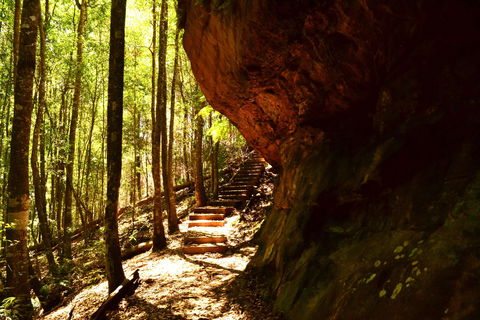 Cave Creek Walking Track - Sunshine Coast Guide 1