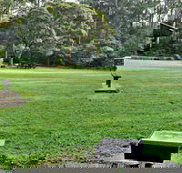 Cottonwood Glen Picnic Area - Sunshine Coast Guide