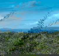 Forest Walking Track Crowdy Bay National Park - Sunshine Coast Guide