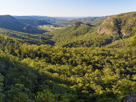 Gold Coast Hinterland Great Walk - Sunshine Coast Guide 0