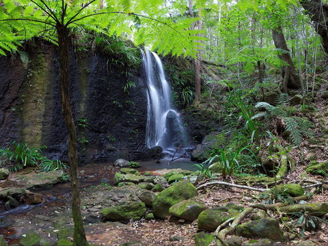 Gold Coast Hinterland Great Walk - Sunshine Coast Guide 1