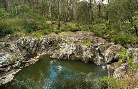Gorge Walking Track - Sunshine Coast Guide 0