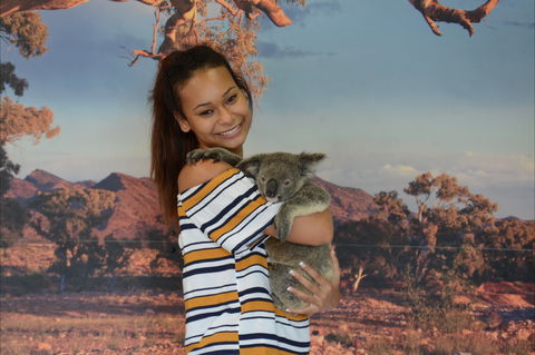 Kuranda Koala Gardens - Sunshine Coast Guide 0