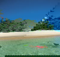 Low Isles - Sunshine Coast Guide