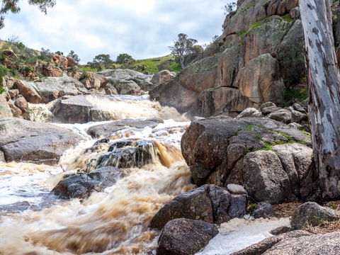 Mannum Waterfalls - Sunshine Coast Guide 0