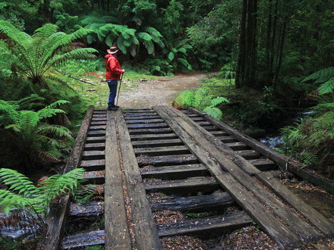 Montezuma Falls - Sunshine Coast Guide 0