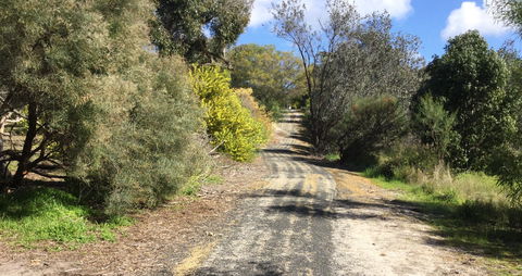 Naracoorte North Nature Park - Sunshine Coast Guide 0