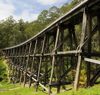 Noojee Trestle Bridge - Sunshine Coast Guide