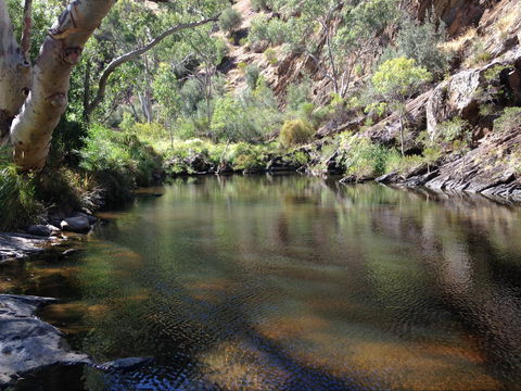 Onkaparinga River National Park - Sunshine Coast Guide 2