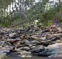 Rocksberg Park Heritage Reserve - Sunshine Coast Guide