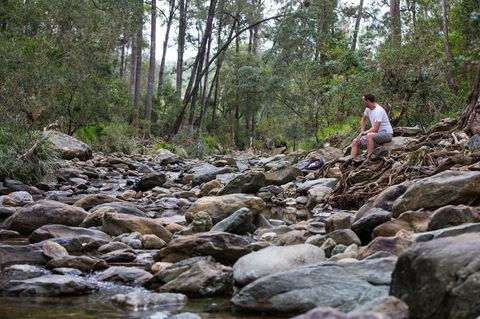 Rocksberg Park Heritage Reserve - Sunshine Coast Guide 0