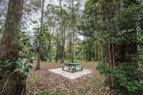 Rocksberg Park Heritage Reserve - Sunshine Coast Guide 1