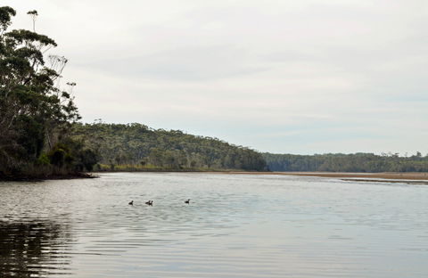 Tabourie Lake - Sunshine Coast Guide 0