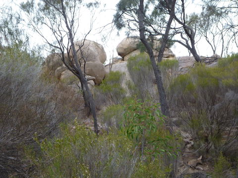 Tolmer Rocks - Mount Boothby Conservation Park - Sunshine Coast Guide 0