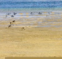 Towra Beach - Sunshine Coast Guide