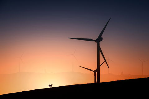 Woakwine Range Wind Farm Tourist Drive - Sunshine Coast Guide 0