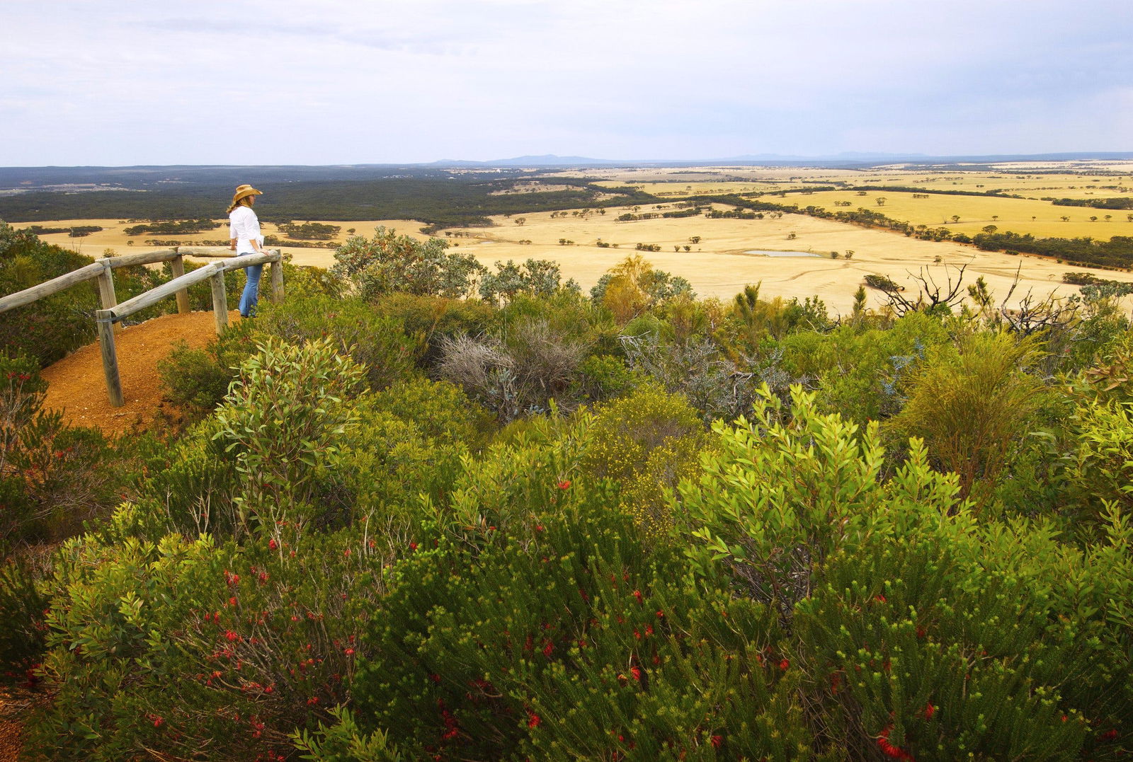  Sunshine Coast Guide