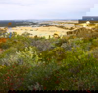 Archer Drive Scenic Drive and Lookout - Sunshine Coast Guide