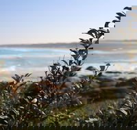 Cape Conran Coastal Park - Sunshine Coast Guide