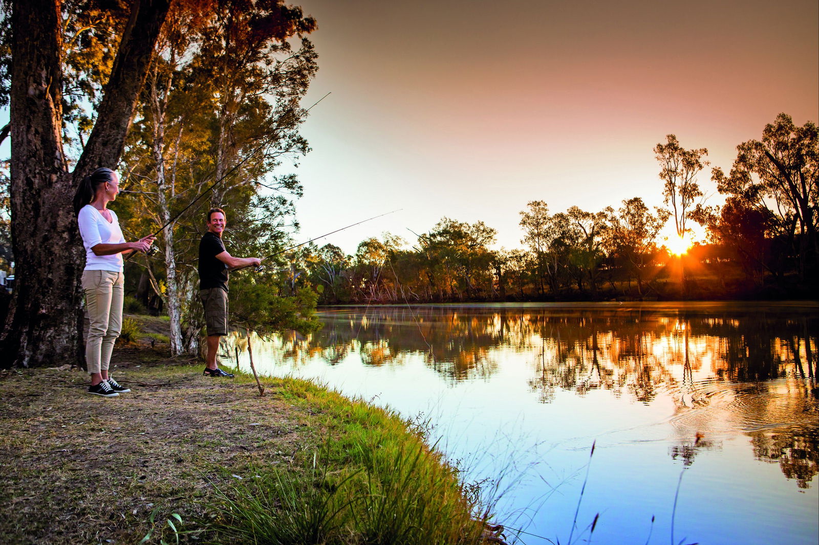 Nangwee ACT Sunshine Coast Guide