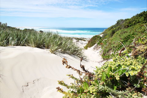 Coffin Bay National Park - Sunshine Coast Guide 1