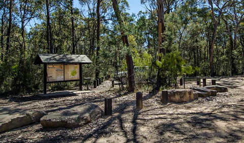 Couridjah Corridor Walk - Sunshine Coast Guide 0