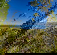 Dunwich Goompie - Sunshine Coast Guide