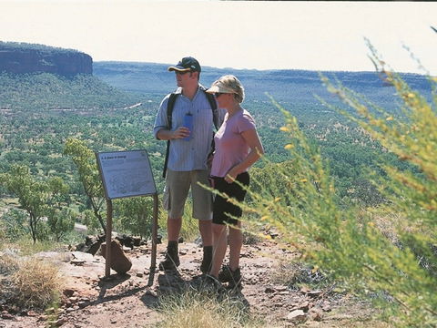 Escarpment Walk - Sunshine Coast Guide 1