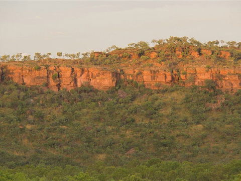 Escarpment Walk - Sunshine Coast Guide 2