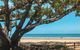 Etty Bay - thumb 0