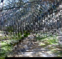 Federation Walk - Sunshine Coast Guide