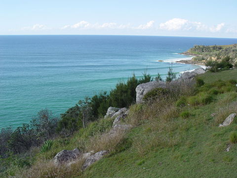 Goanna Headland - Sunshine Coast Guide 1