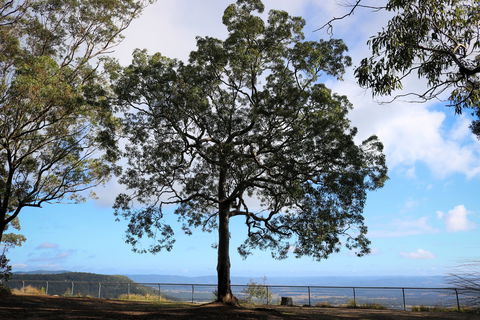 Heaton State Forest - Watagan Mountains - Sunshine Coast Guide 2