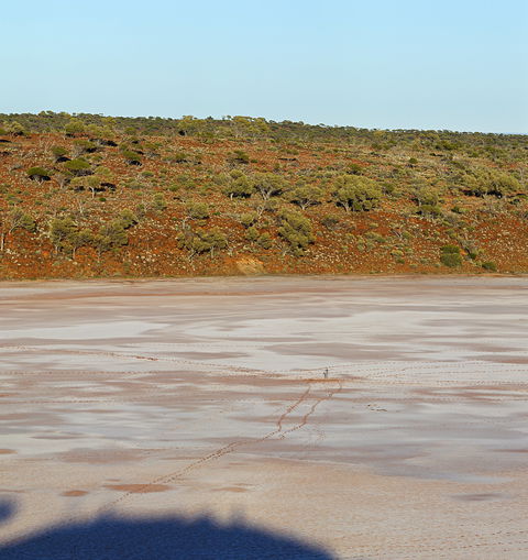 Inside Australia - Antony Gormley Sculptures - Sunshine Coast Guide 0