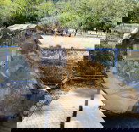 John Oxley Monument - Sunshine Coast Guide