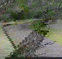 Leschenault Peninsula Conservation Park - Sunshine Coast Guide