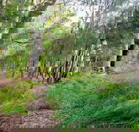 Meroo Lake walking track - Sunshine Coast Guide