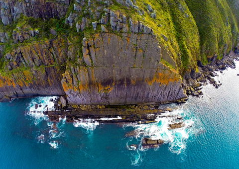 Newland Head Conservation Park - Sunshine Coast Guide 0