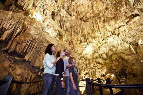 Ngilgi Cave - Sunshine Coast Guide 1